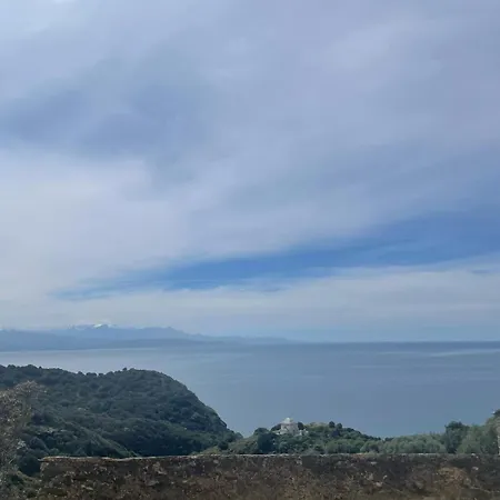 Minerbio 아파트 *