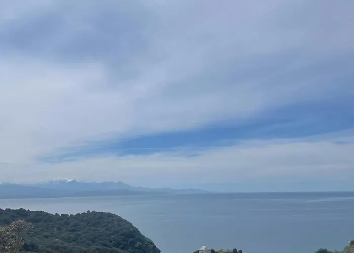 Minerbio Appartement *